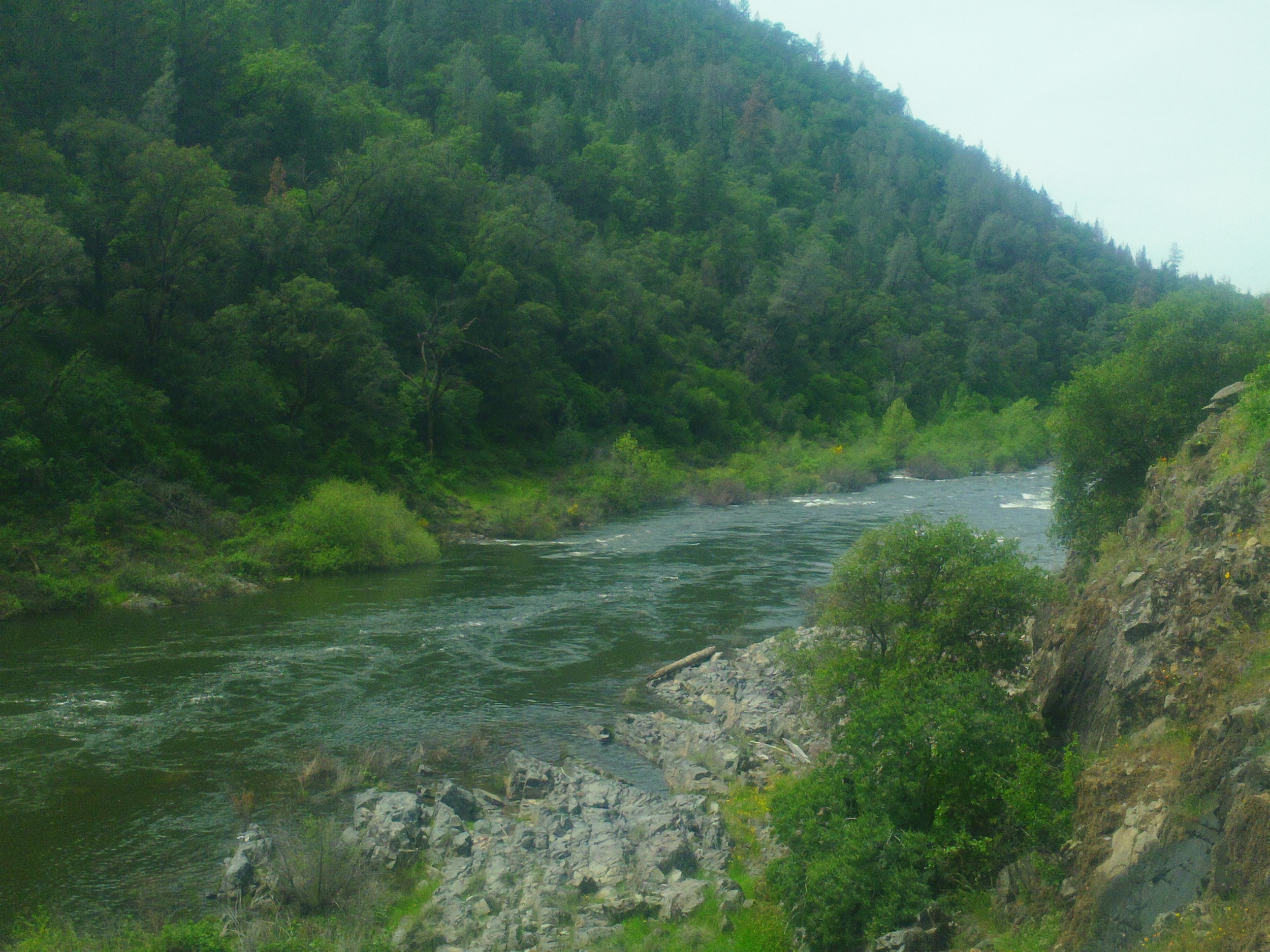 Spring on the South Fork