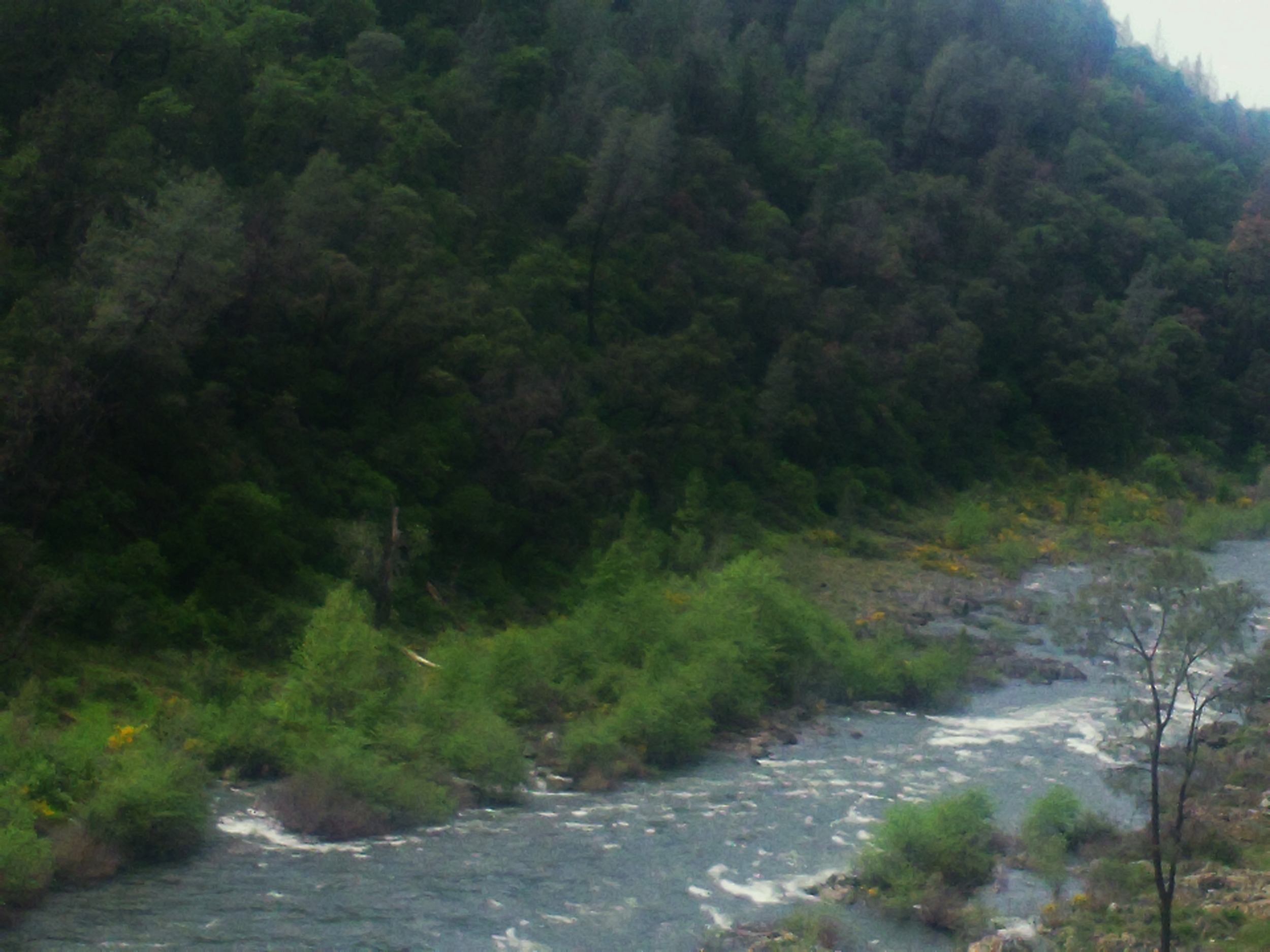 The South Fork in the Spring