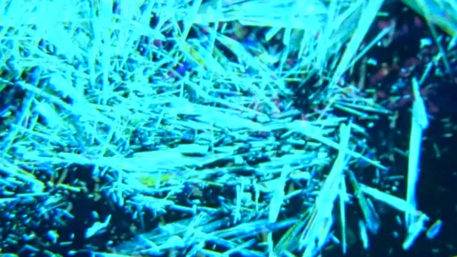 Deep Descent | 2017 | Excerpts