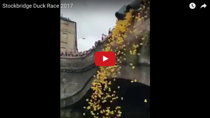 Stockbridge Duck Race 2017 raises over £4,000 for Charity