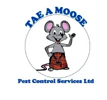 Tae a Moose
