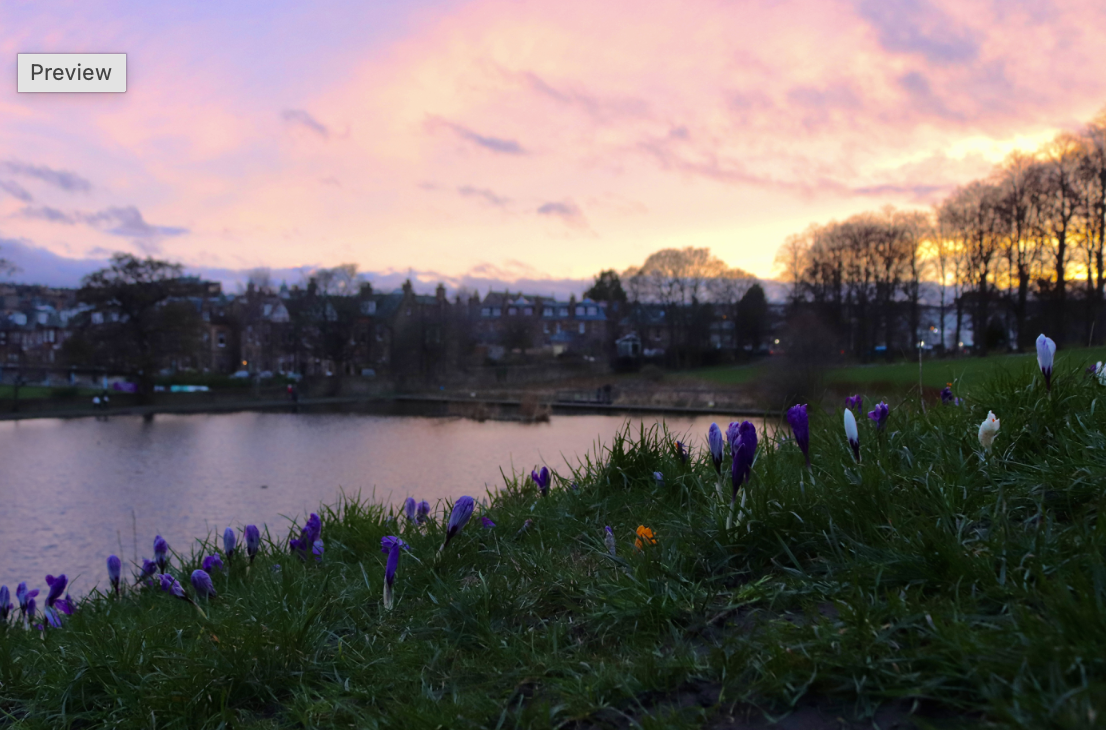 Inverleith Park Sunset .png