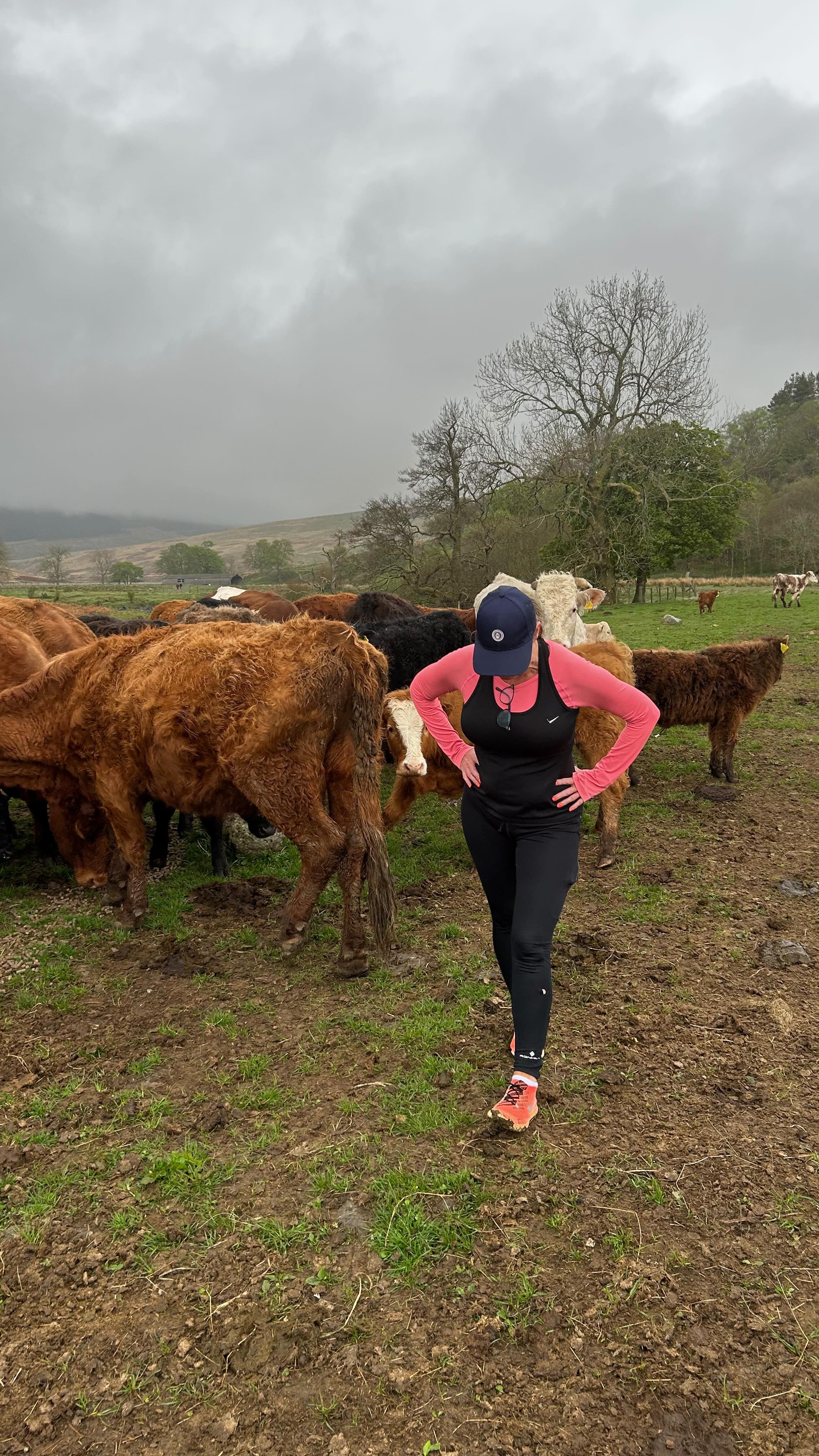 Last Sunday on morning run came across some cattle with young calves on country path on a weekend escape to Dumfries.
Owner James Andrew of Holm of Daltallochan offered me the chance to feed the cows.
What a way to start a Sunday morning, the mo