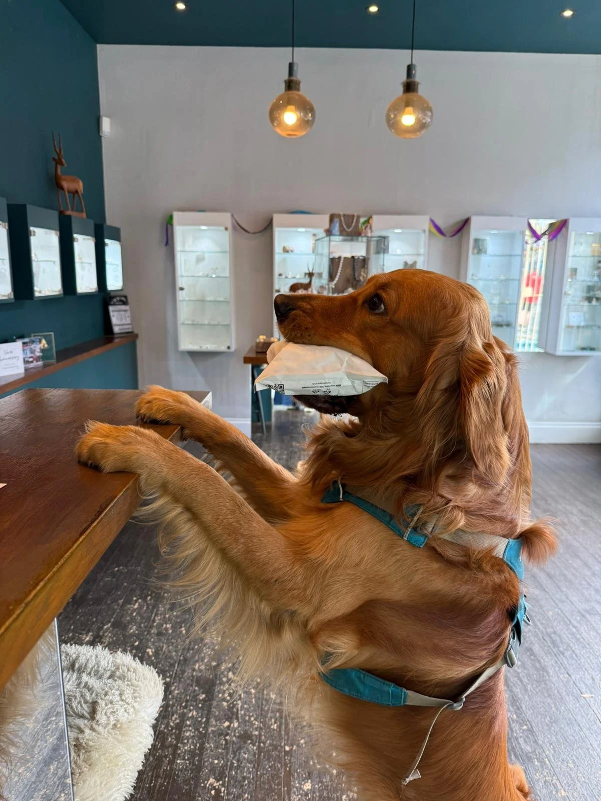 Win £250 Annie Smith voucher