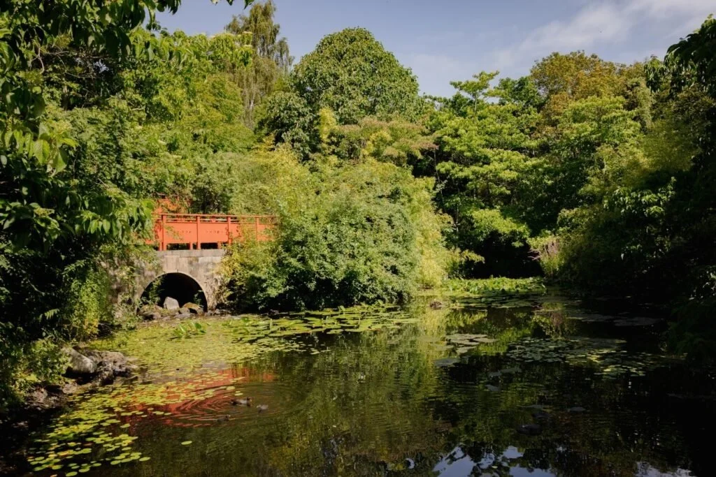RBGE-Pond-Chinese-Garden.jpeg