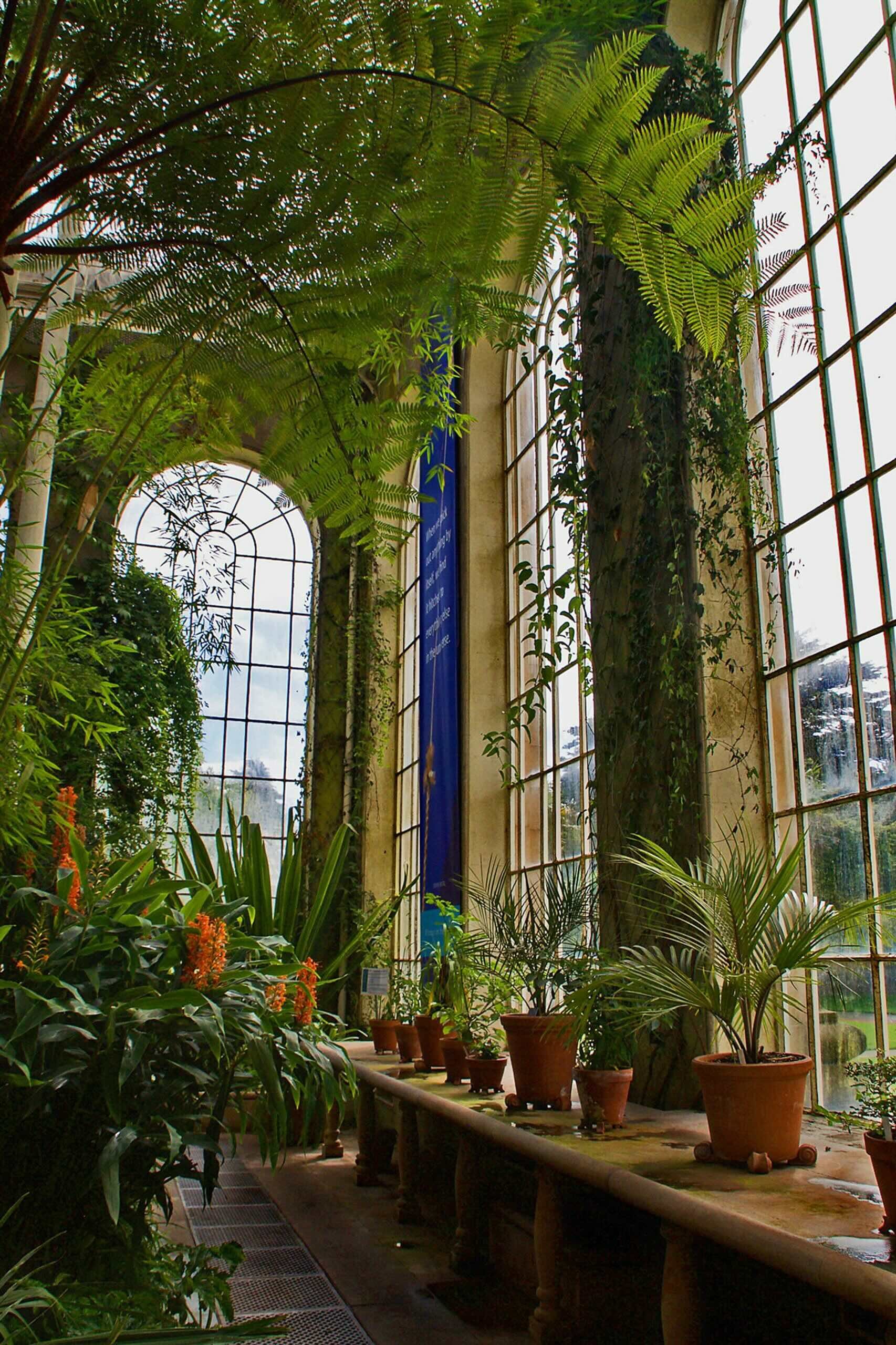 Royal Botanic Garden Edinburgh