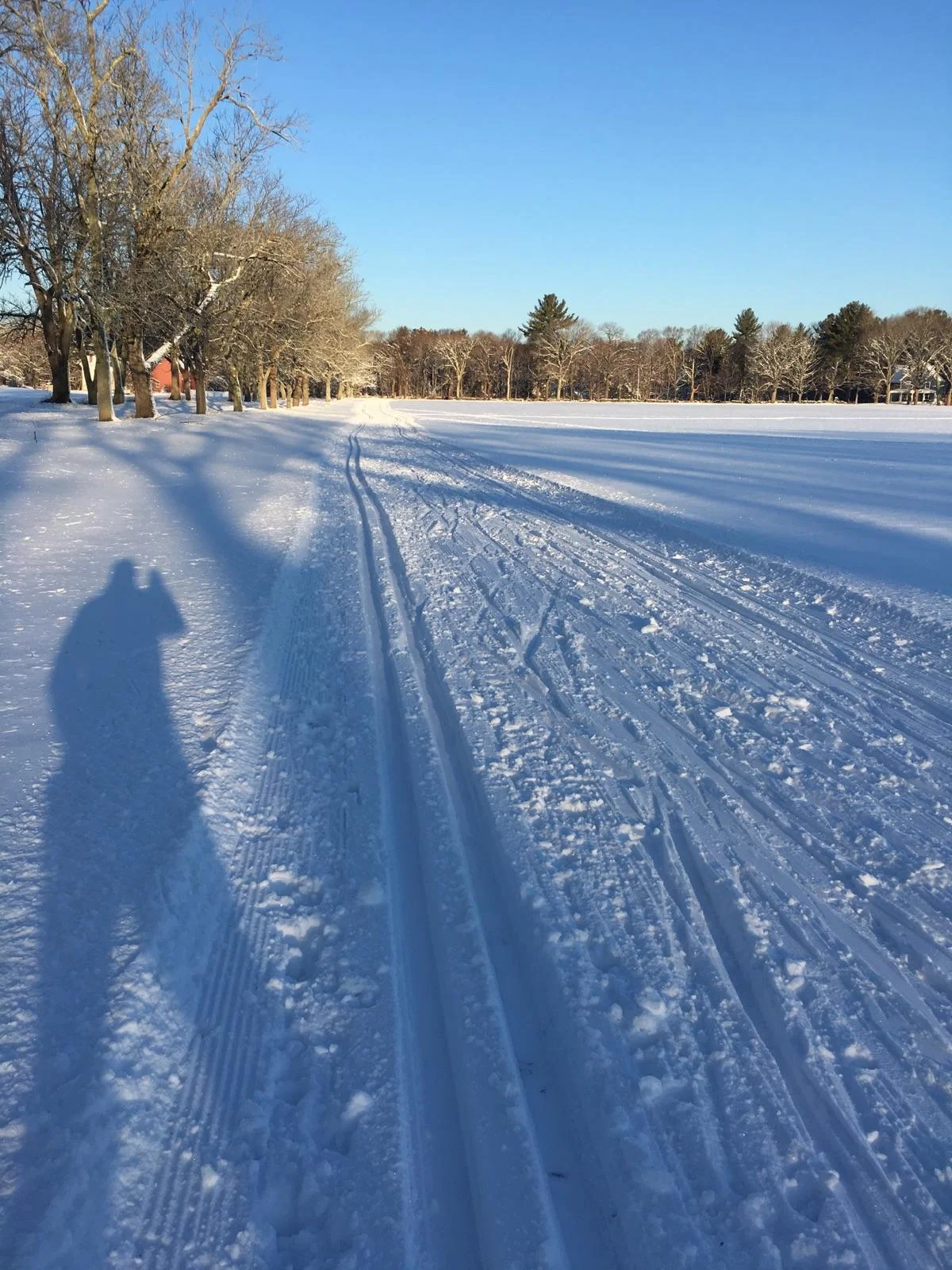 Sunday - Grooming Update