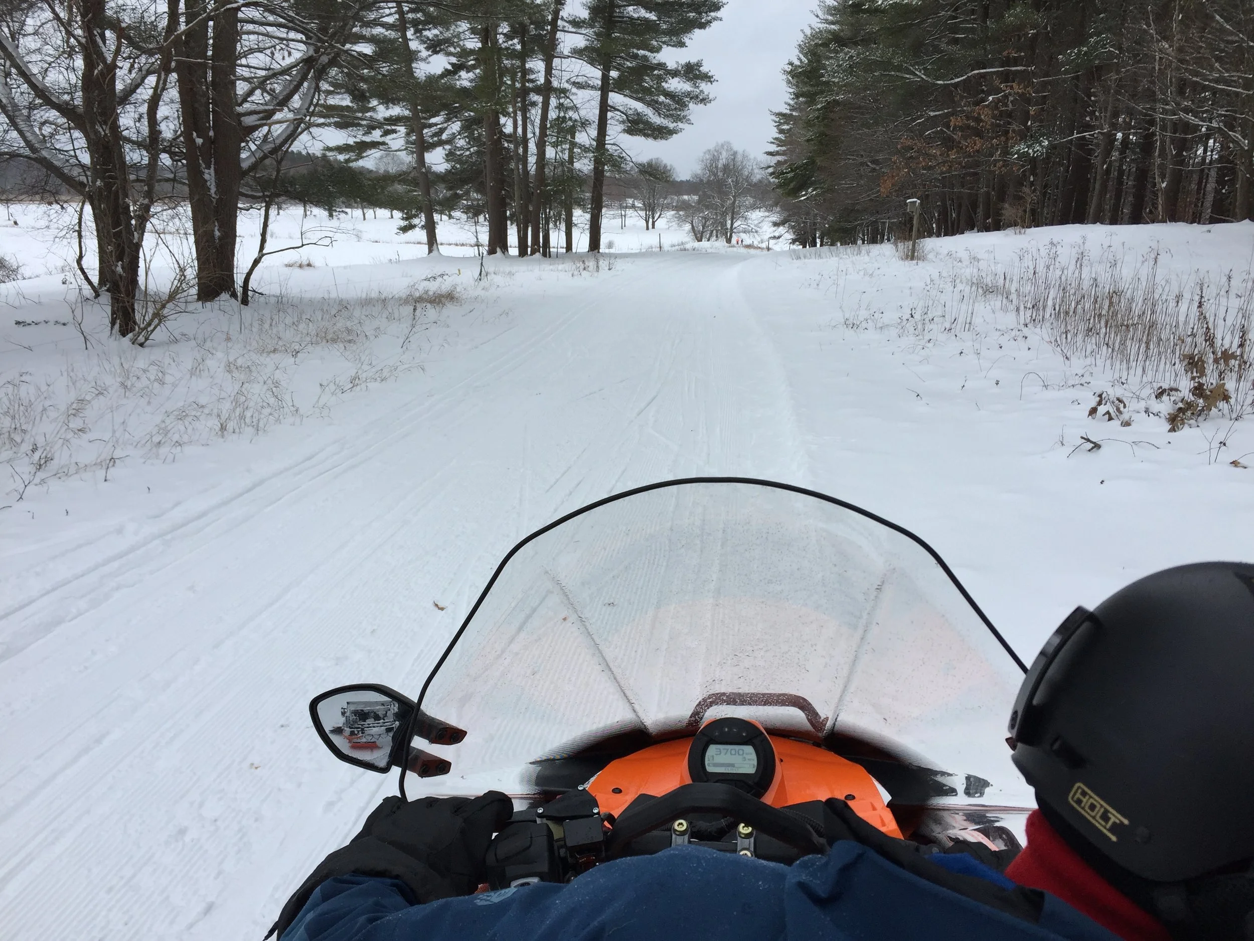 Grooming sunrise to sunset...