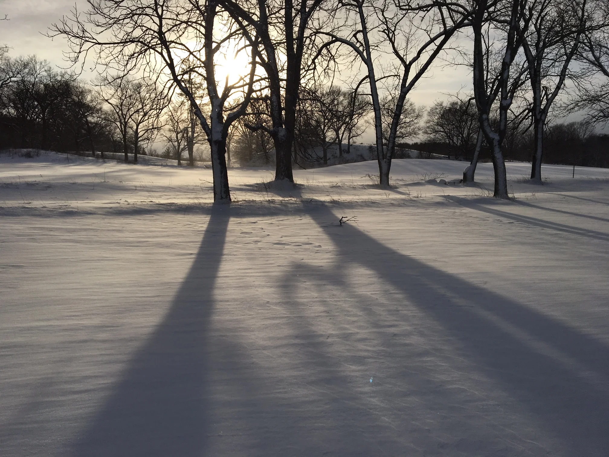 Monday's update- the sun did come out