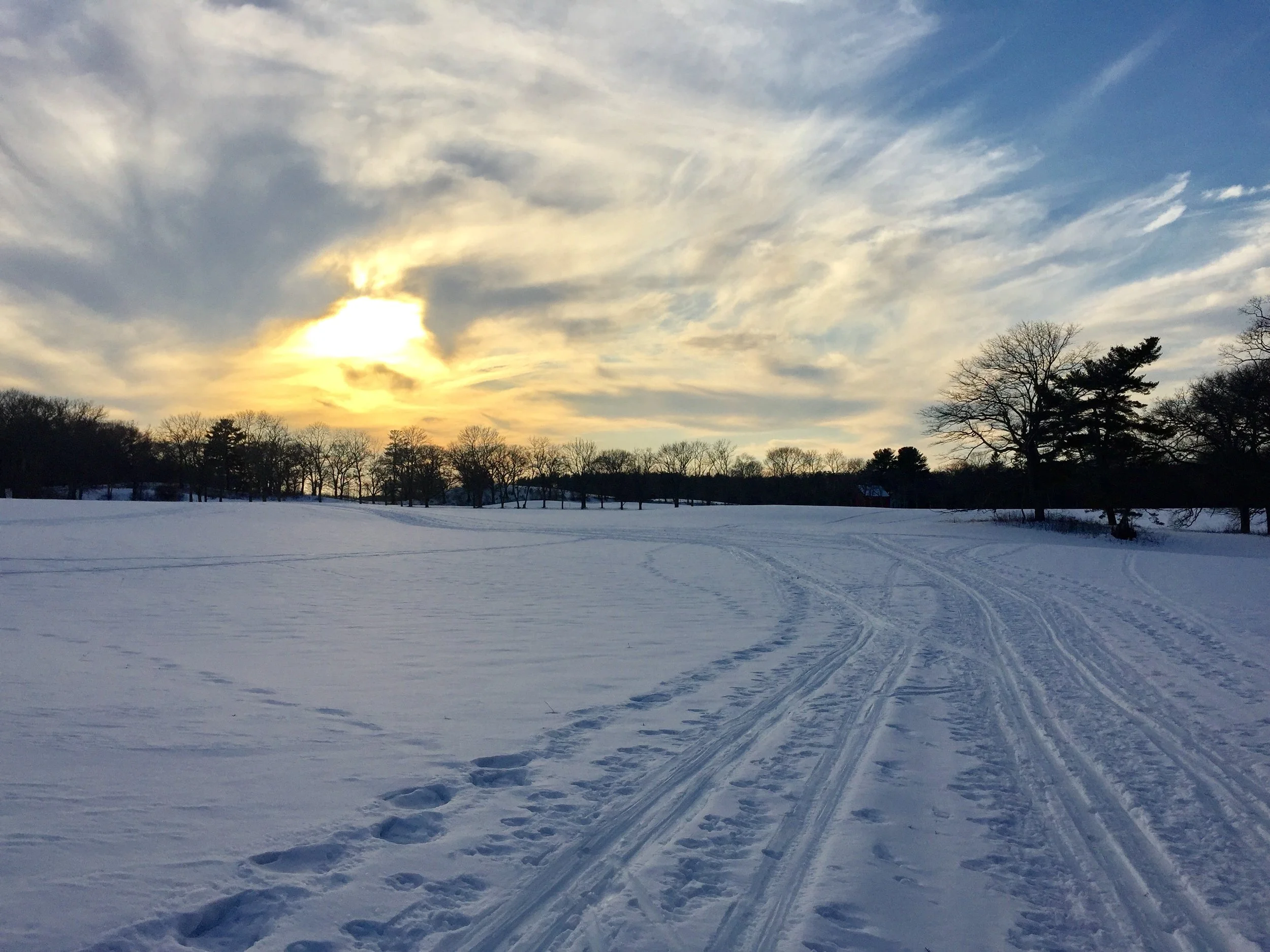Saturday Afternoon Trail Report - Appleton Farms