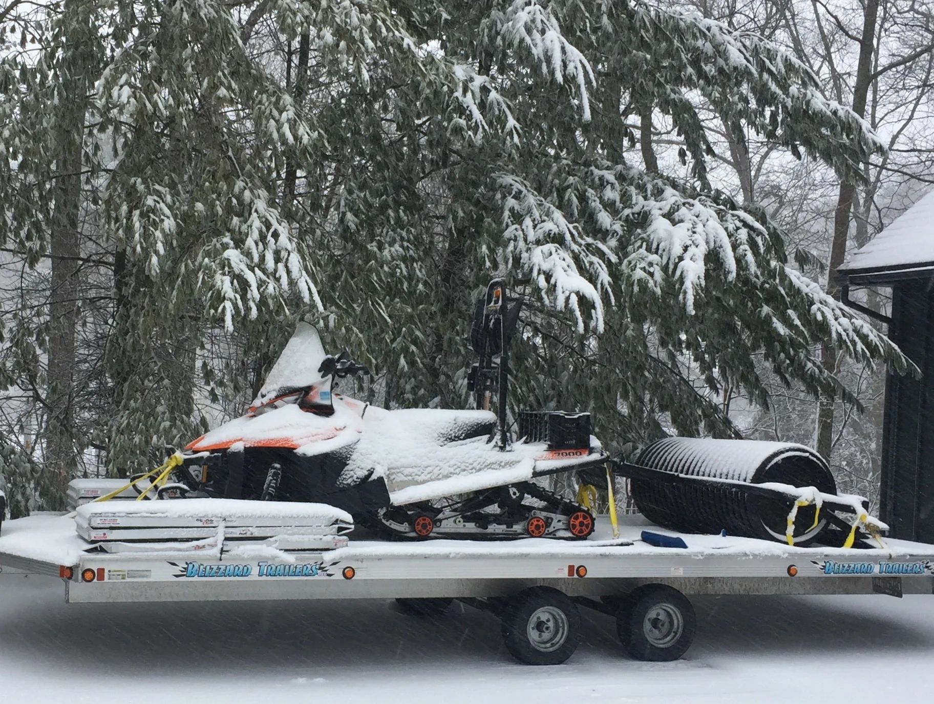 Grooming Plan During Blizzard "Stella"