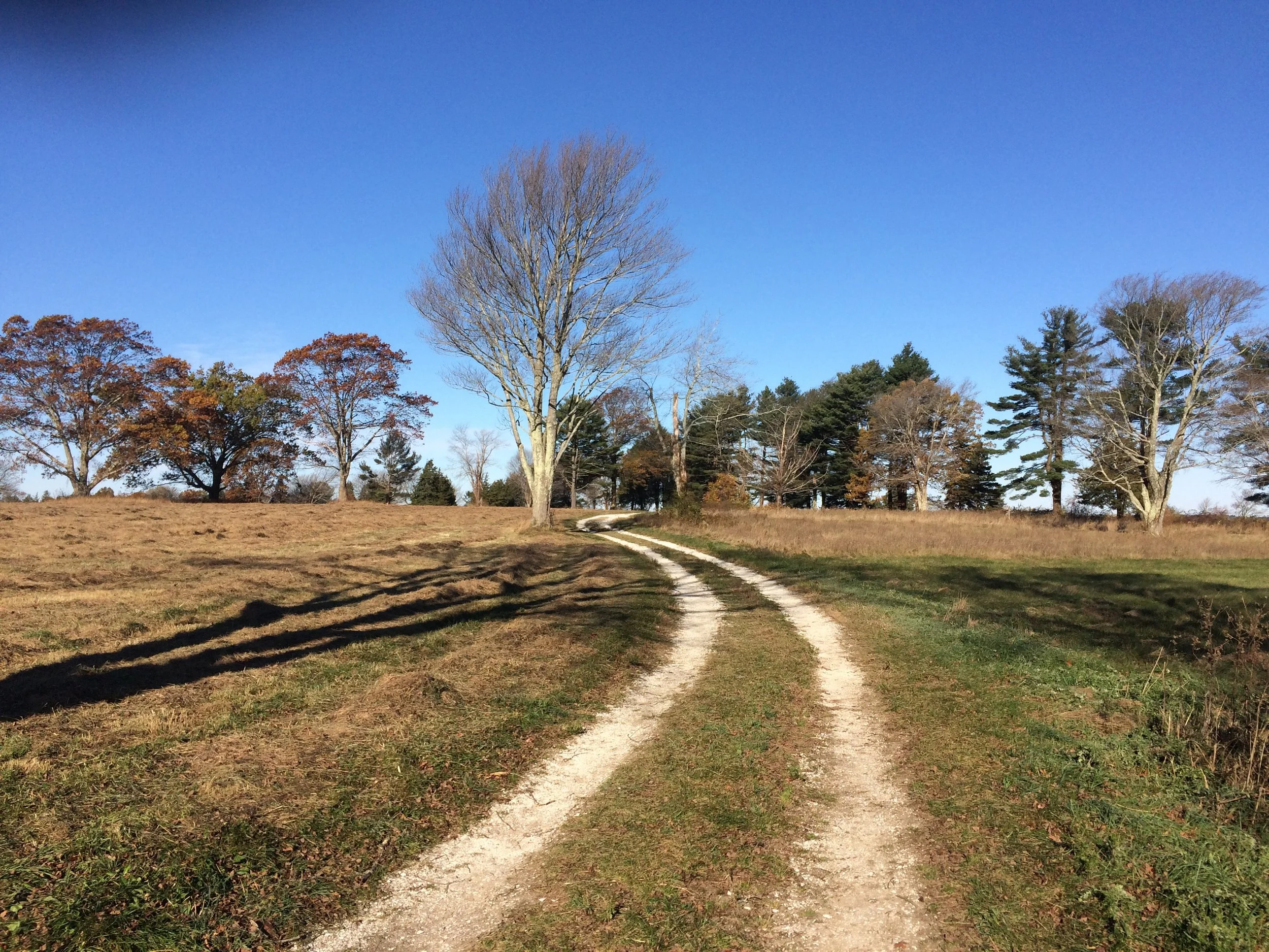 We've Added Sagamore Hill to Our Trail System!