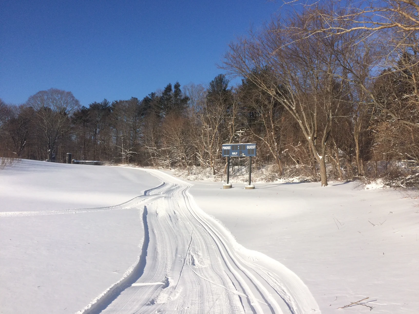 2018_01_05 Pingree.jpeg