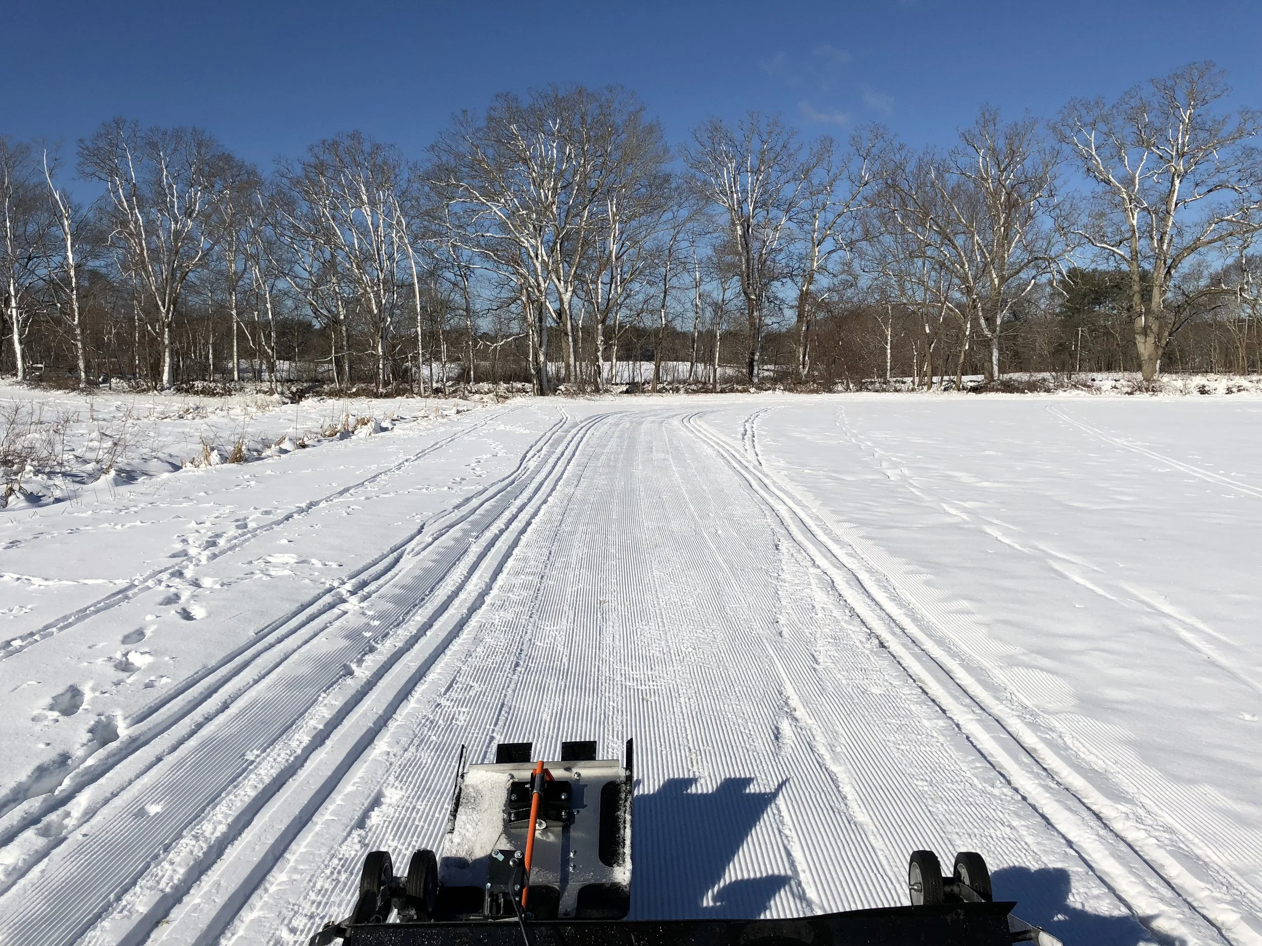 Saturday March 10th update