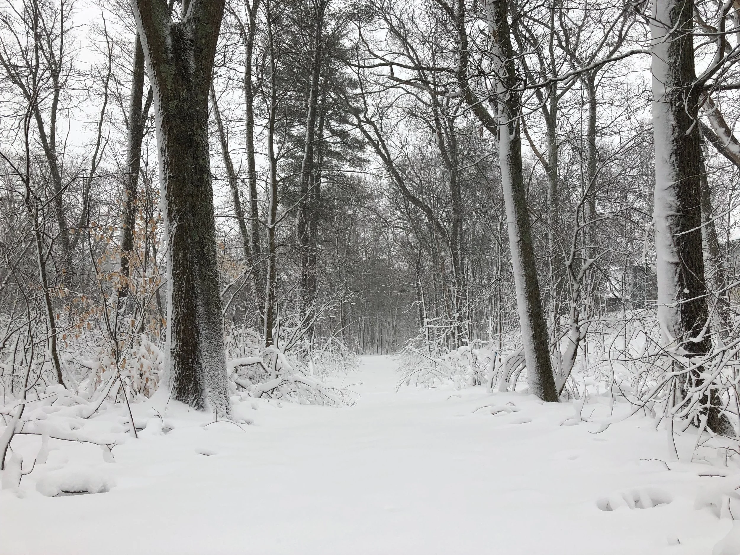 Ready for Nor'easter Skylar