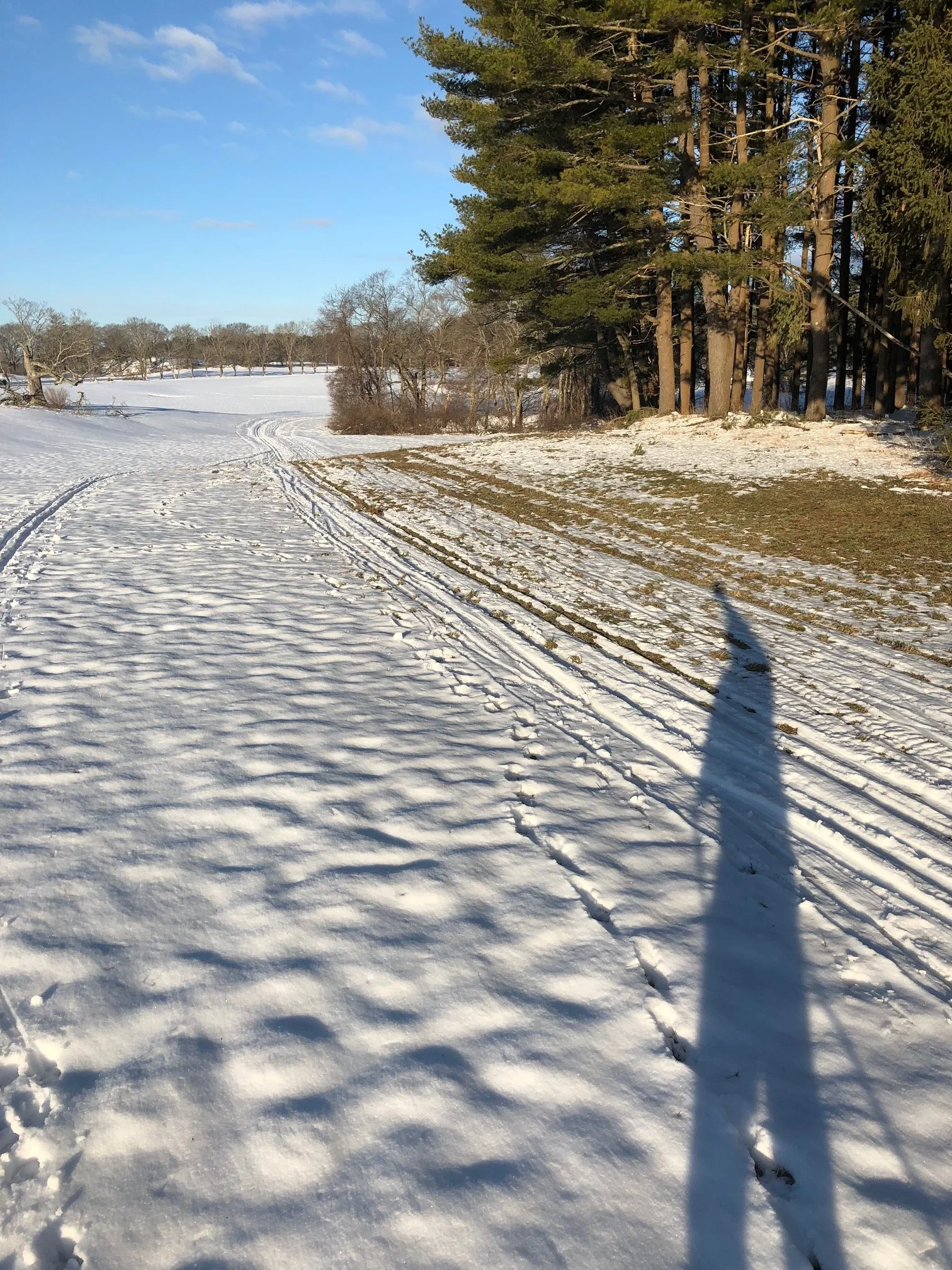 Saturday morning March 17th 