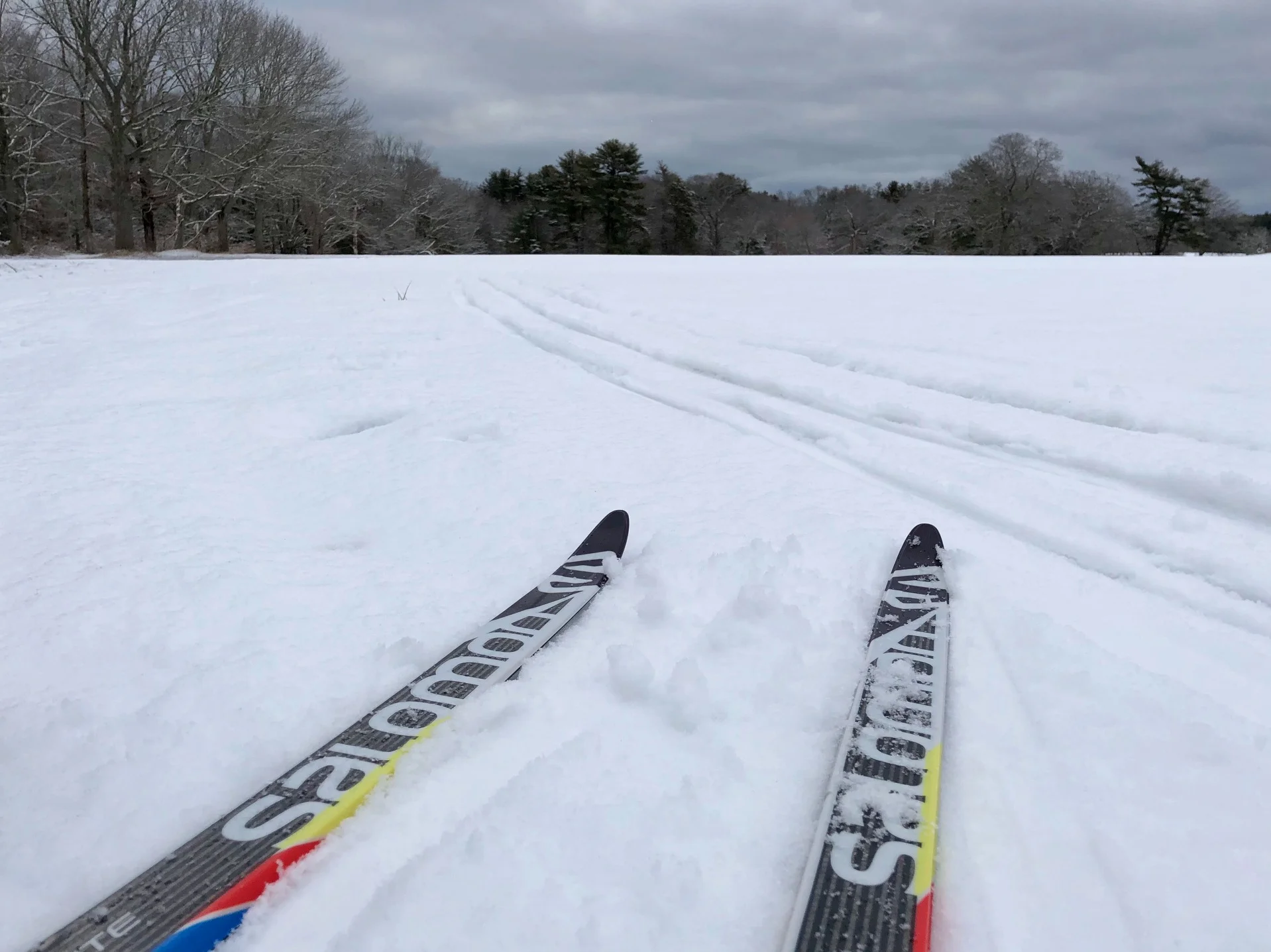 Sunday Morning March 25th update