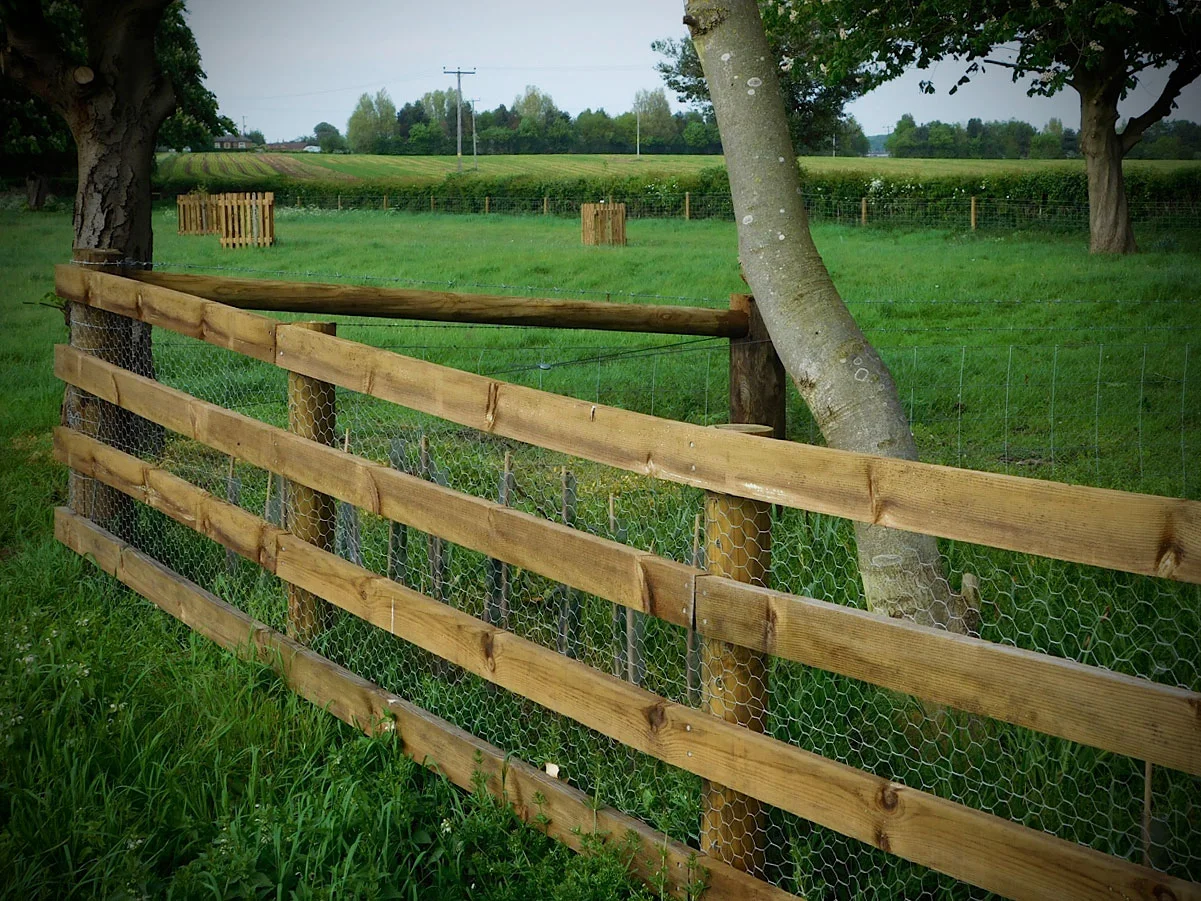 Fencing7.jpg
