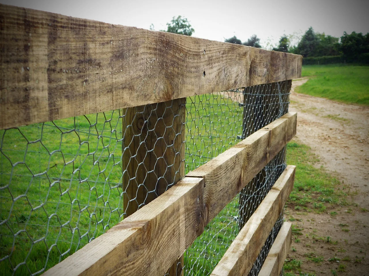 Fencing6.jpg