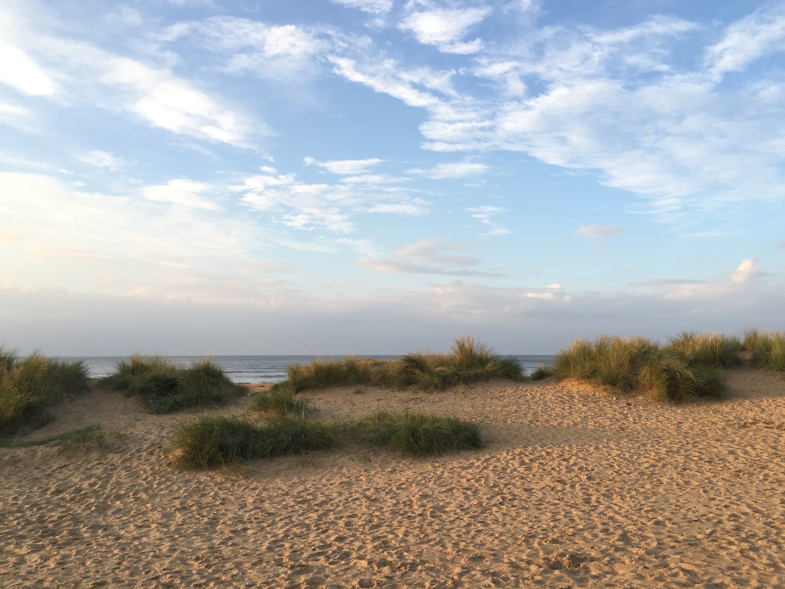 The views from the board walk towards the sea