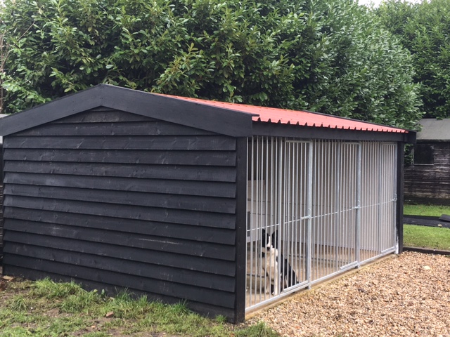 Home sweet home for this beautiful working collie