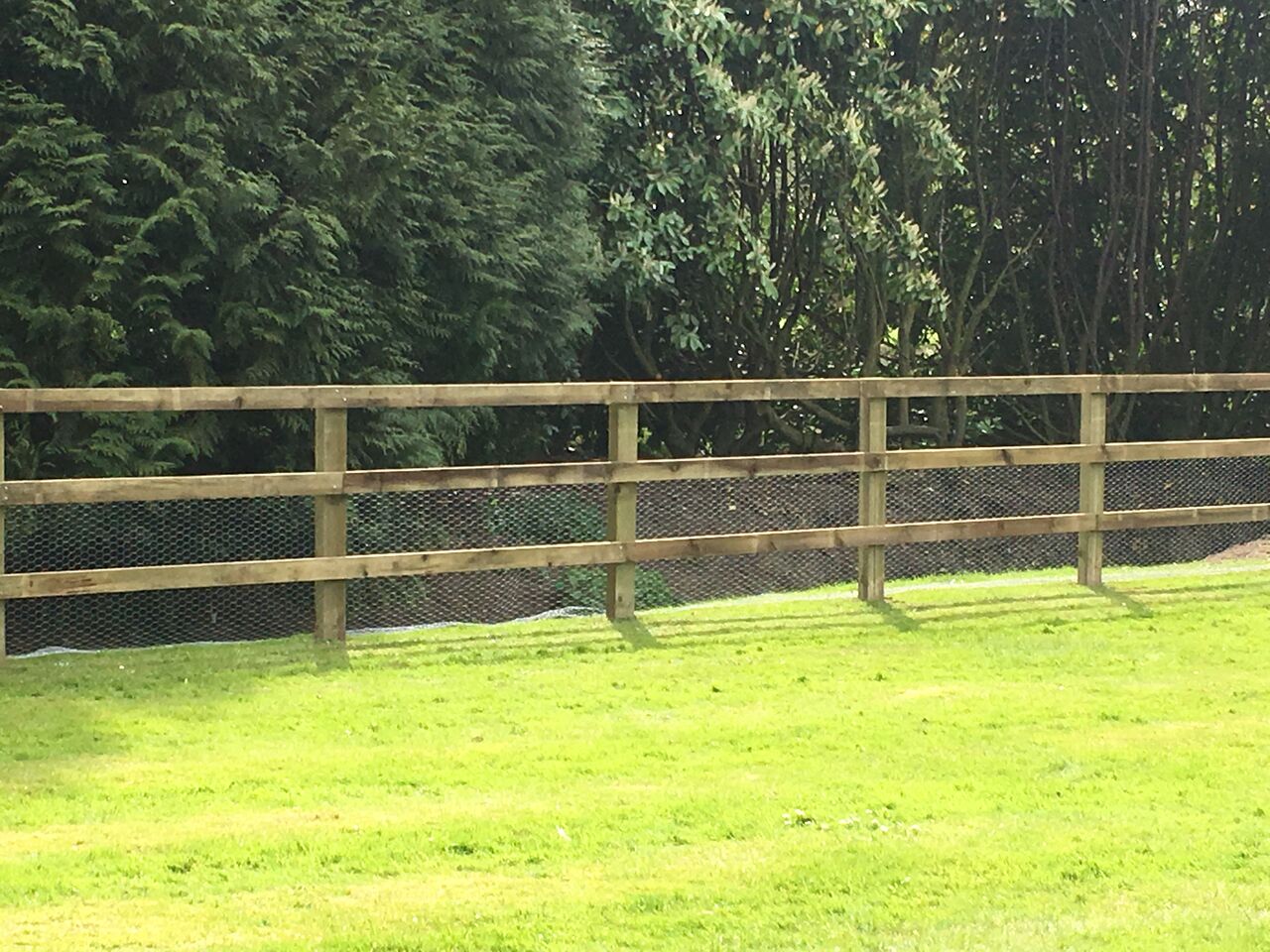 Post and rail fencing with rabbit wire to keep wildlife out