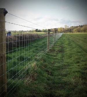 A fencing system that will keep livestock in and badgers out