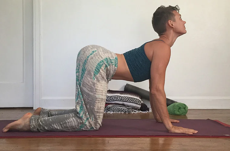 Wellness Program Development philadelphia