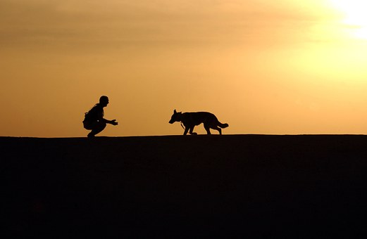 What My Dog's Bathroom Habits taught Me About Personal Growth (No, Seriously!)