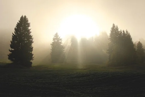The Mindset Shift to Create More Abundance NOW