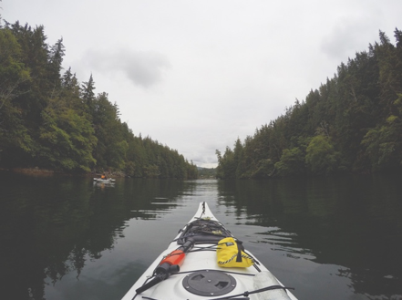 How We Are Wired For Survival