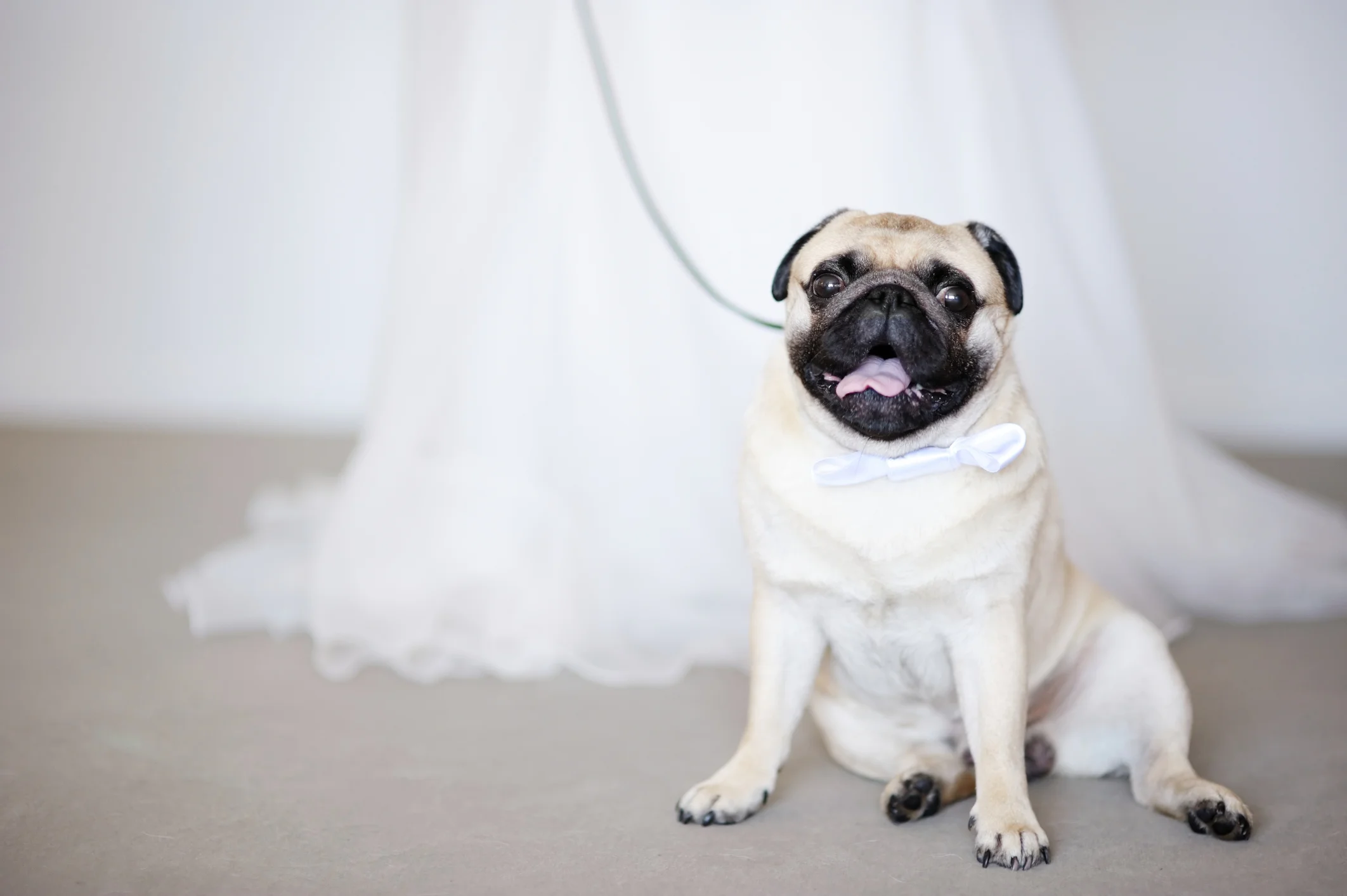 Photo by maximkabb/iStock / Getty Images