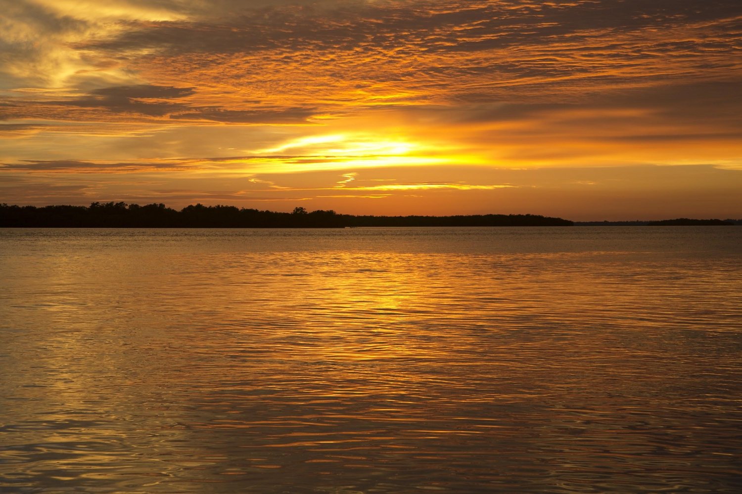 A picture perfect sunset ends A Beautiful Florida Wedding