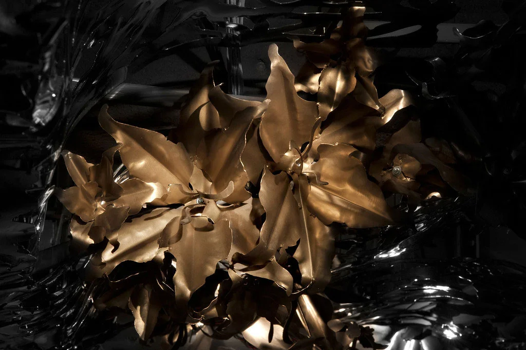   LILIUM, lounge at the W hotel  NEW YORK, NY 