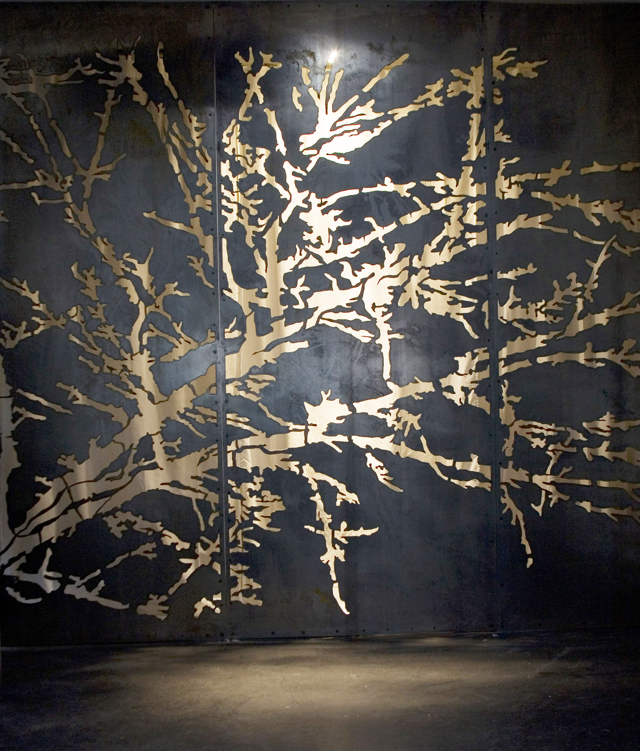 ALBERO SCREENCONTACT TO BUY