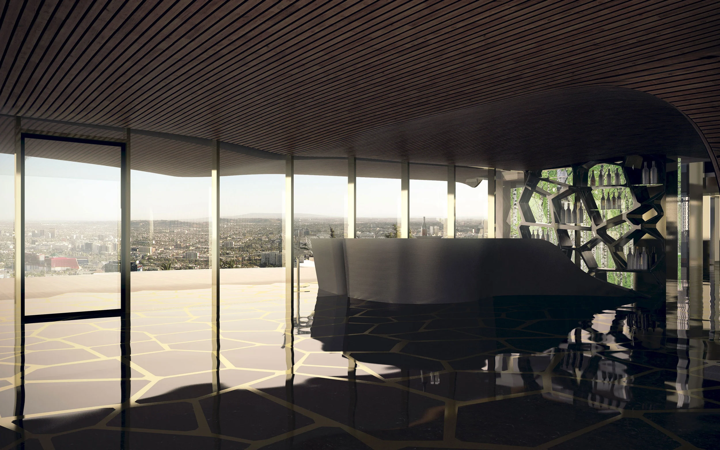 I_R_PRIVATE_RESIDENCE_HollywoodHills_CA_Camera_004_WEB.jpg