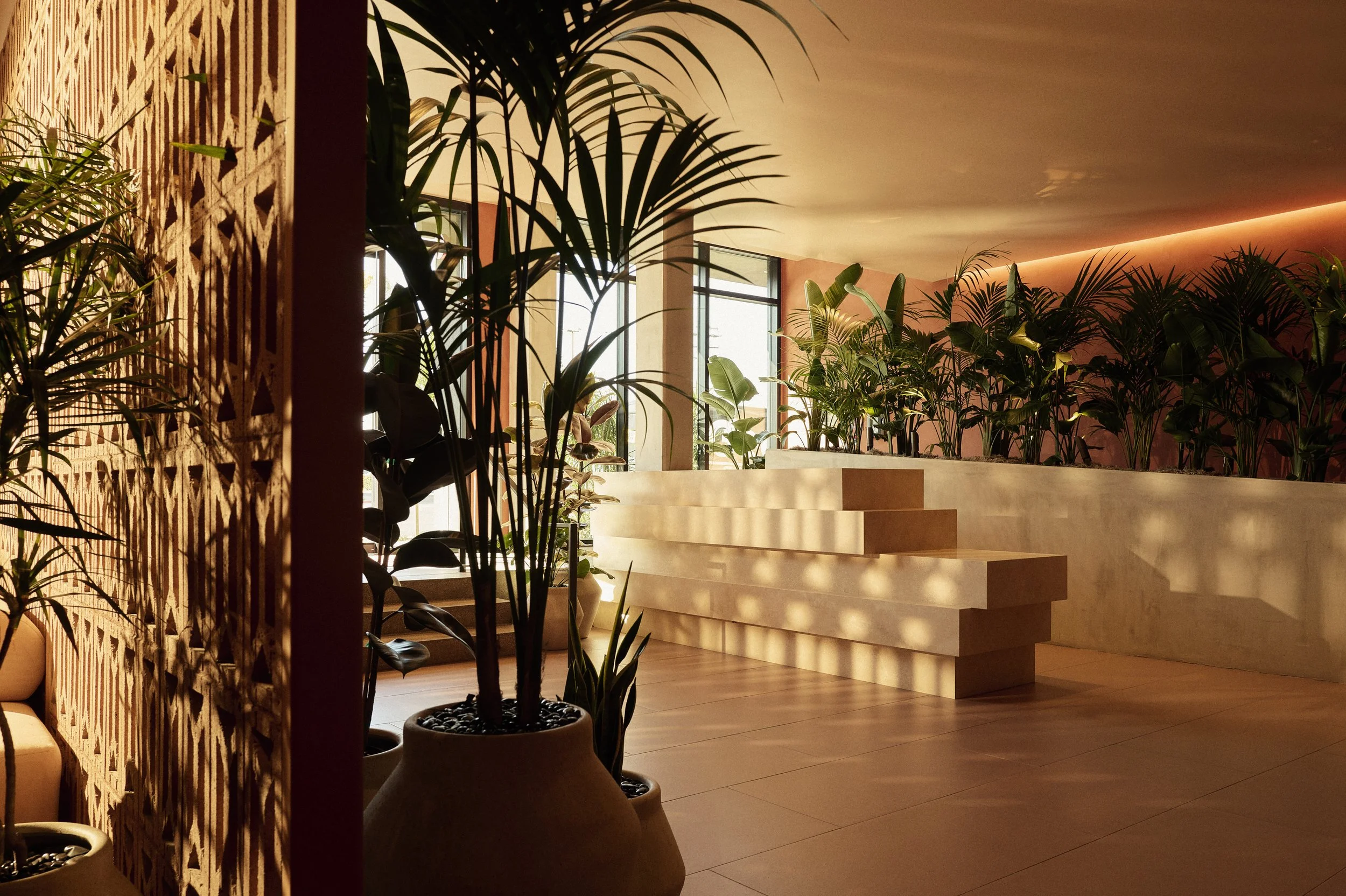   ROWYN   SAN DIEGO, CA 