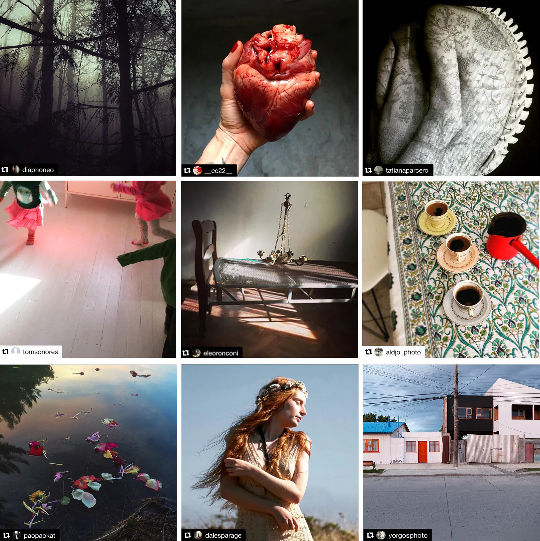 Grid curated portfolio.jpg