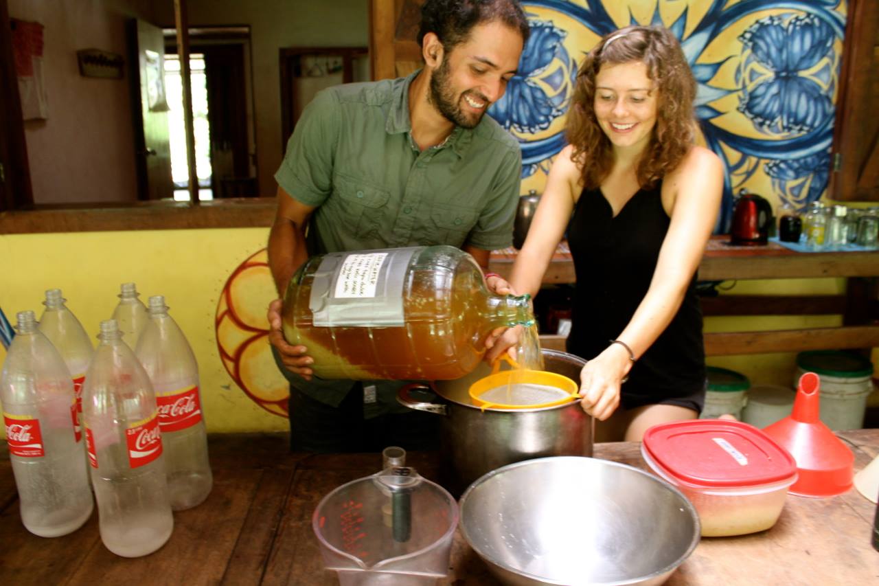 Homemade Soda Fermentation Costa Rica