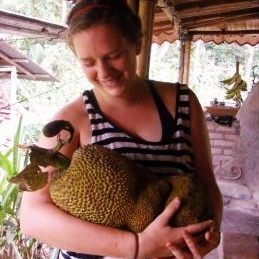 Jackfruit Permaculture Costa Rica