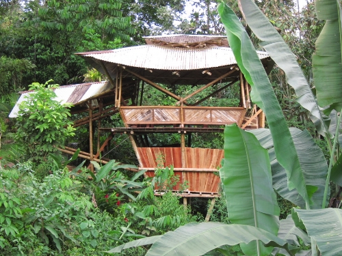 Bamboo Costa Rica