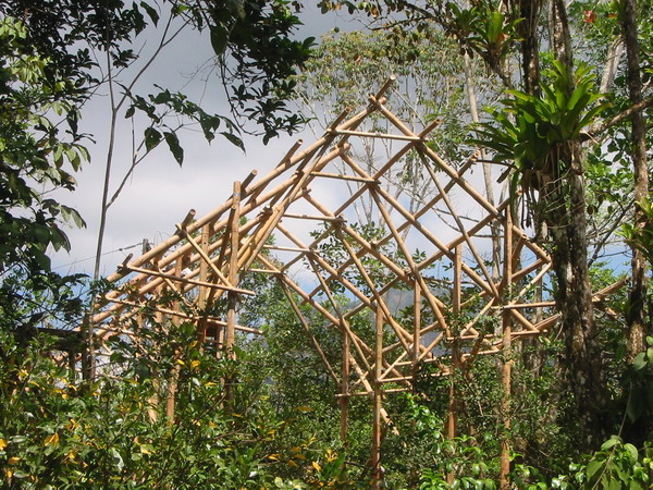 Woodshop- bamboo structure.jpg