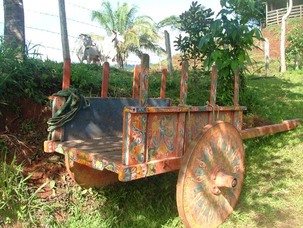 Oxcart.jpg