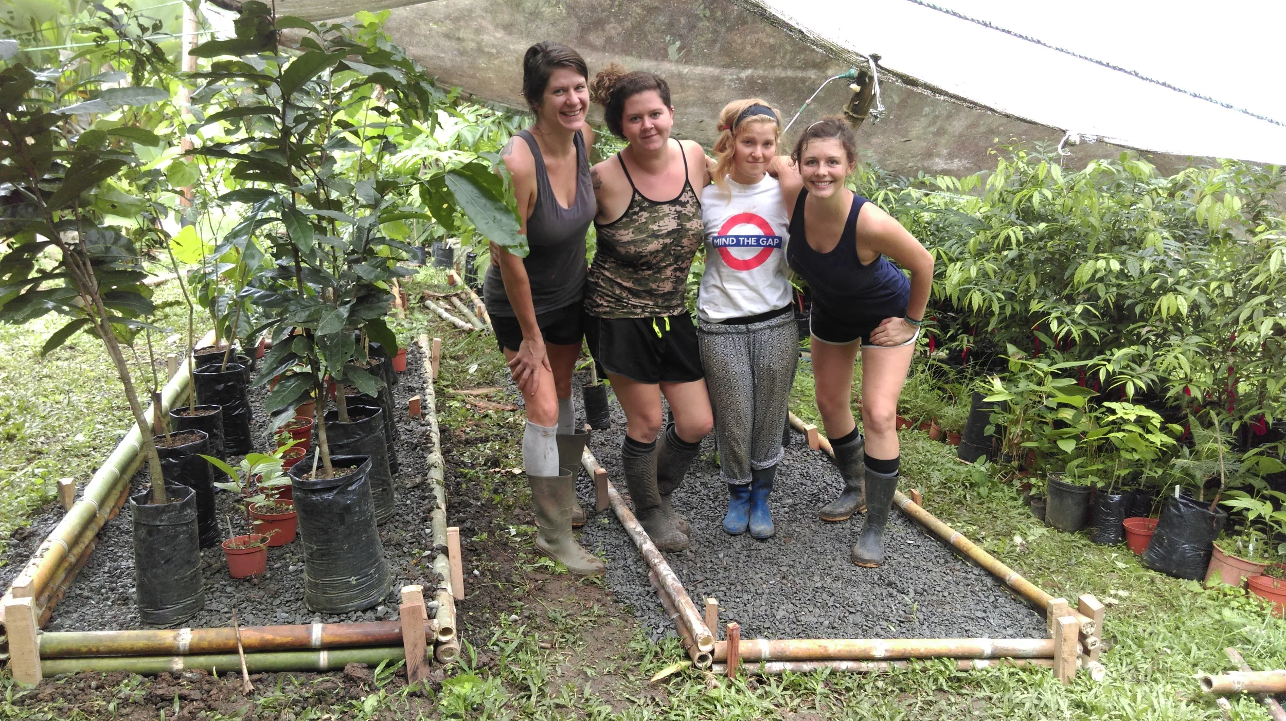 Reflections on 15 years of Rancho Mastatal: Third Trimester Newsletter 2015