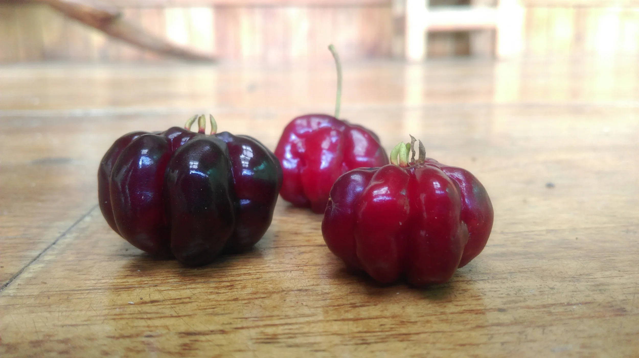 Newsletter: Second Trimester 2015