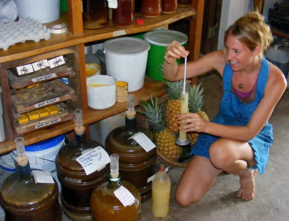 The Art and Practice of Live Culture Fermentation