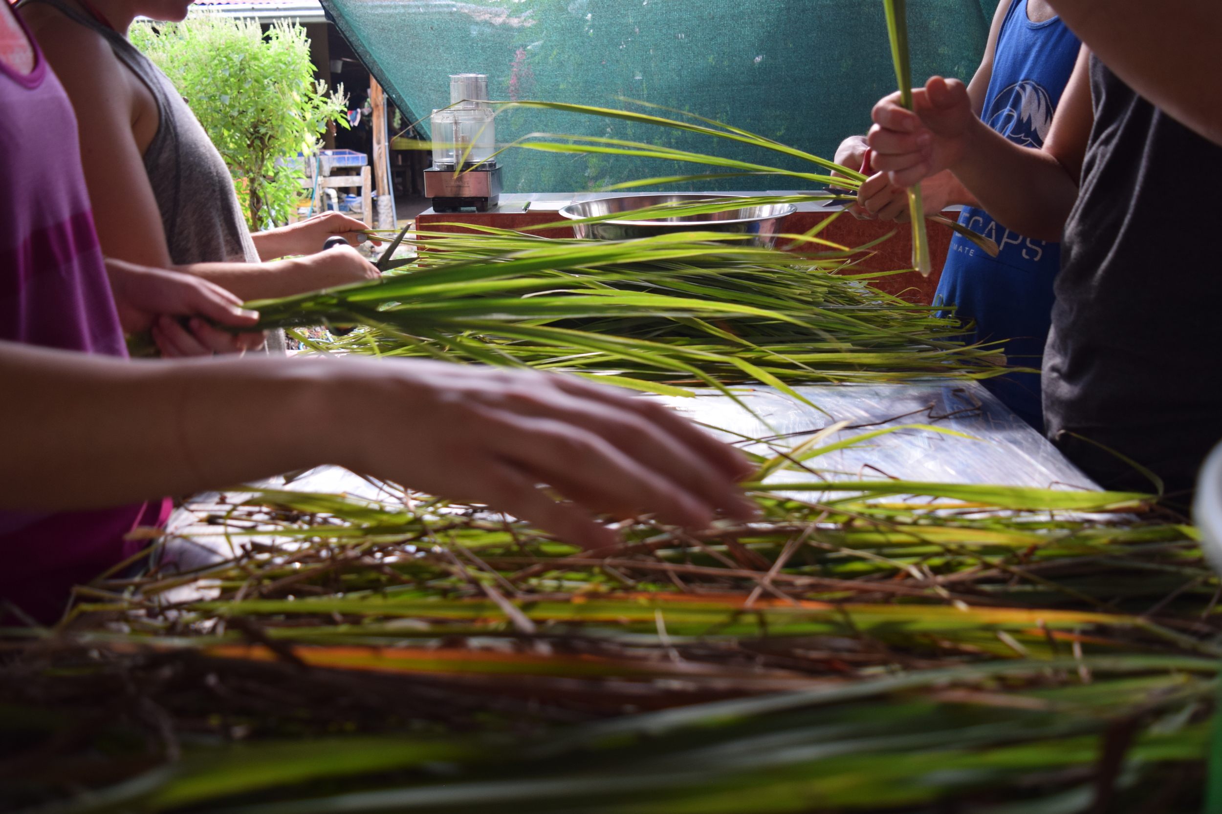 Transition Ethics: The Art of Compromise