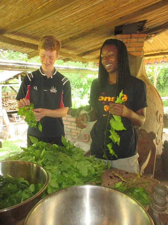 Greenwood College School