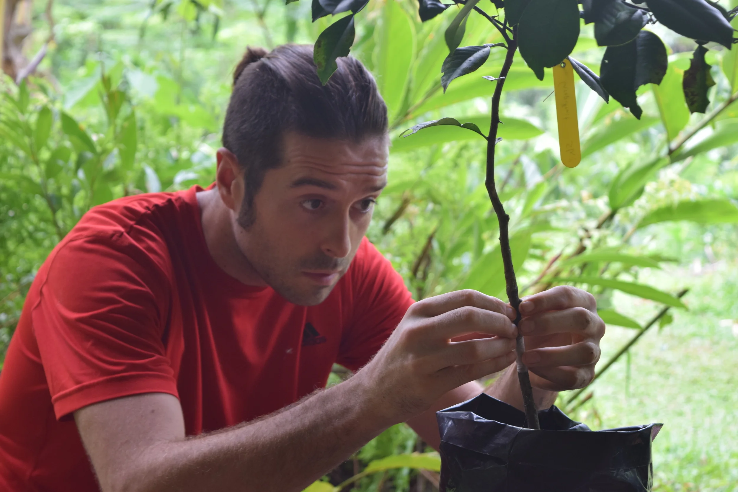 The Art of Stacking Functions