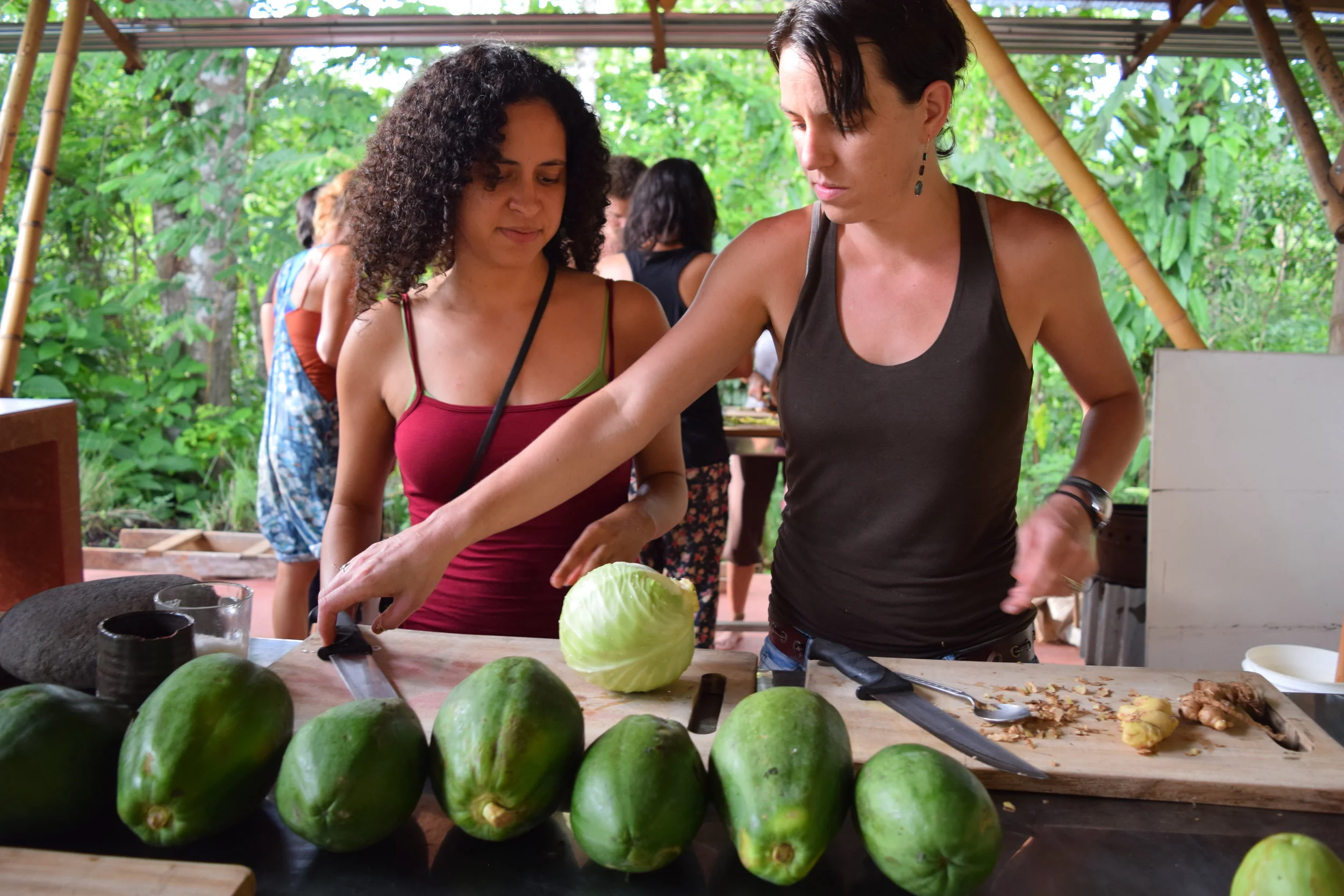 The Art and Practice of Live Culture Fermentation